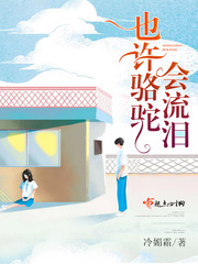 流泪的骆驼