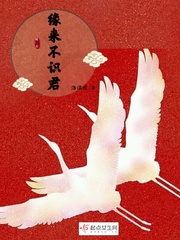 不识君资源
