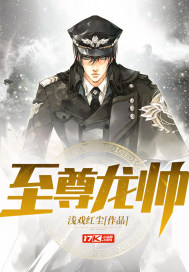 至尊龙帅 小说