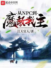 从npc到魔教教主免费阅读