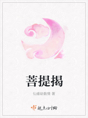 菩提偈是哪个电视剧