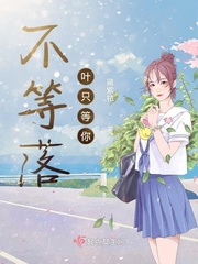 落叶我就不等你