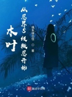 木叶从忍界s级叛忍开始偶系缝合怪