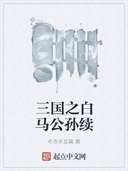 三国之白马公孙续 小说